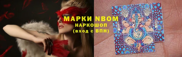 стаф Баксан
