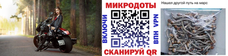 Псилоцибиновые грибы Cubensis  Макушино 